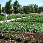 Semesteranläggning (resort) Apulia Victor Country 4*