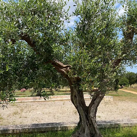 Resort Apulia Victor Country 4*