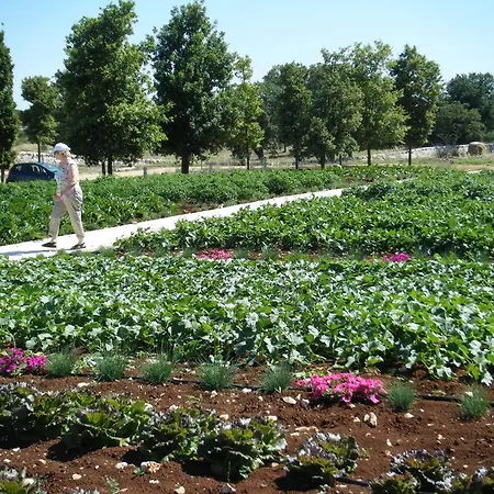 منتجع Apulia Victor Country 4*