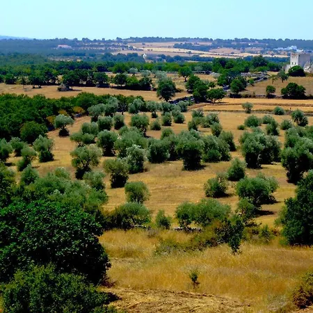 Resort Apulia Victor Country 4*