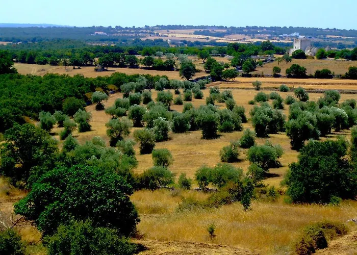 Resort Apulia Victor Country 4*